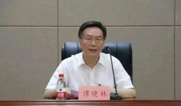 江西谭晓林爆料事件最新消息,真相逐步浮出水面